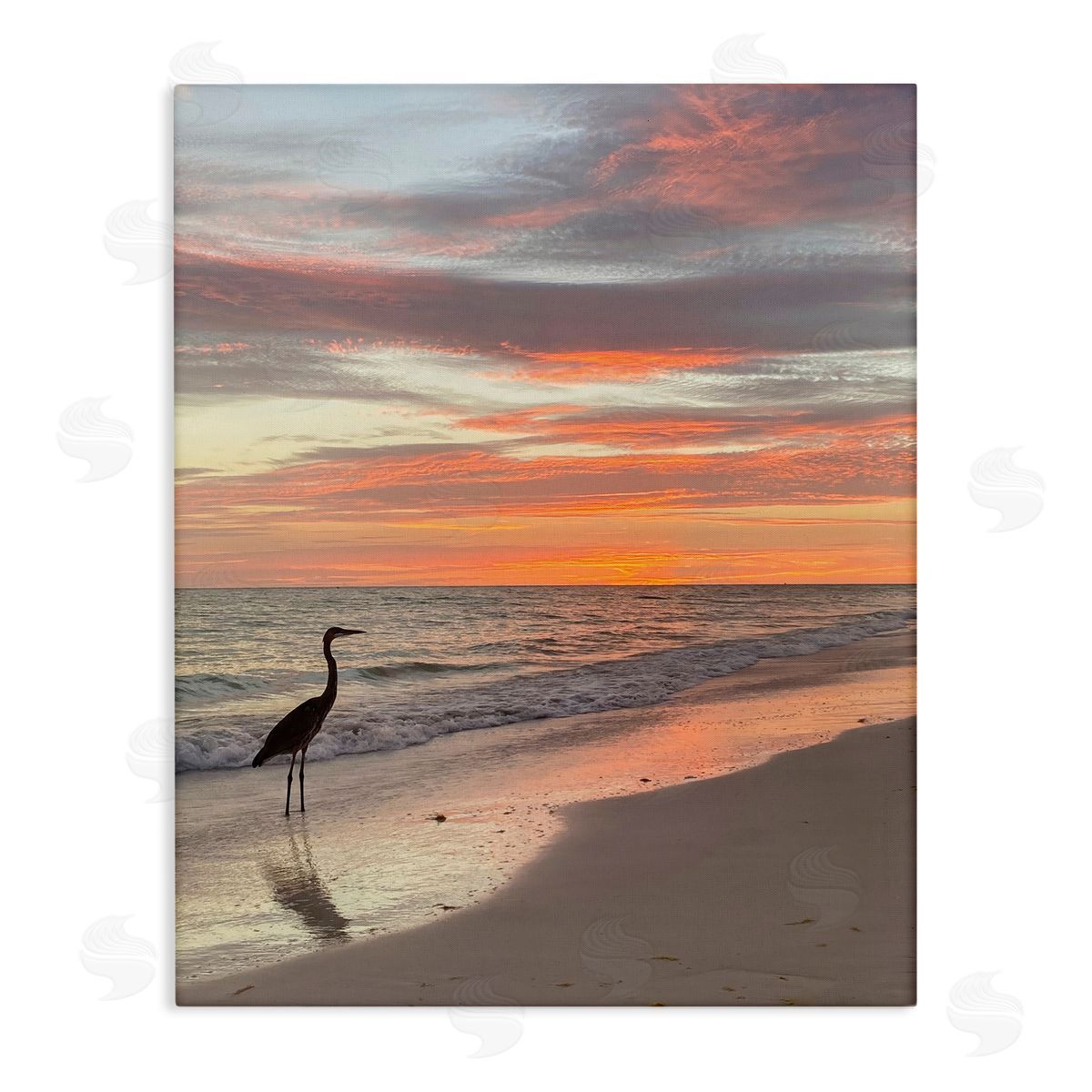 Mary Lou Johnson Lone Egret on Beach Canvas Wall Art Print