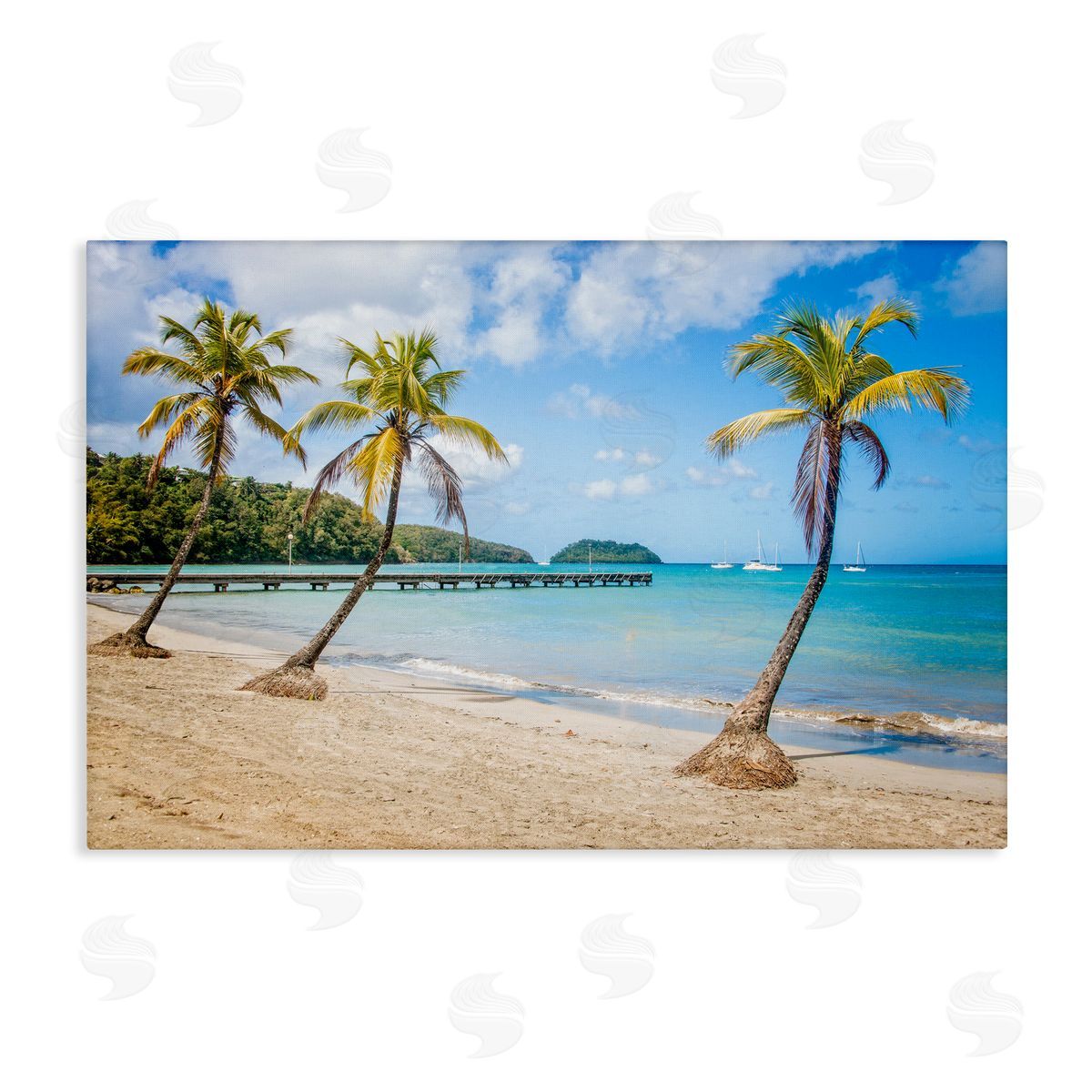 Mary Lou Johnson Tropical Palm Tree Trio Canvas Wall Art Print