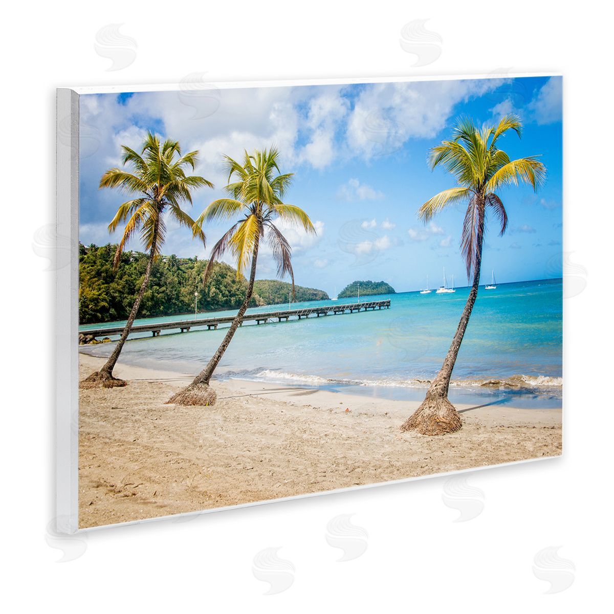 Mary Lou Johnson Tropical Palm Tree Trio Wooden Wall Plaque Art Print