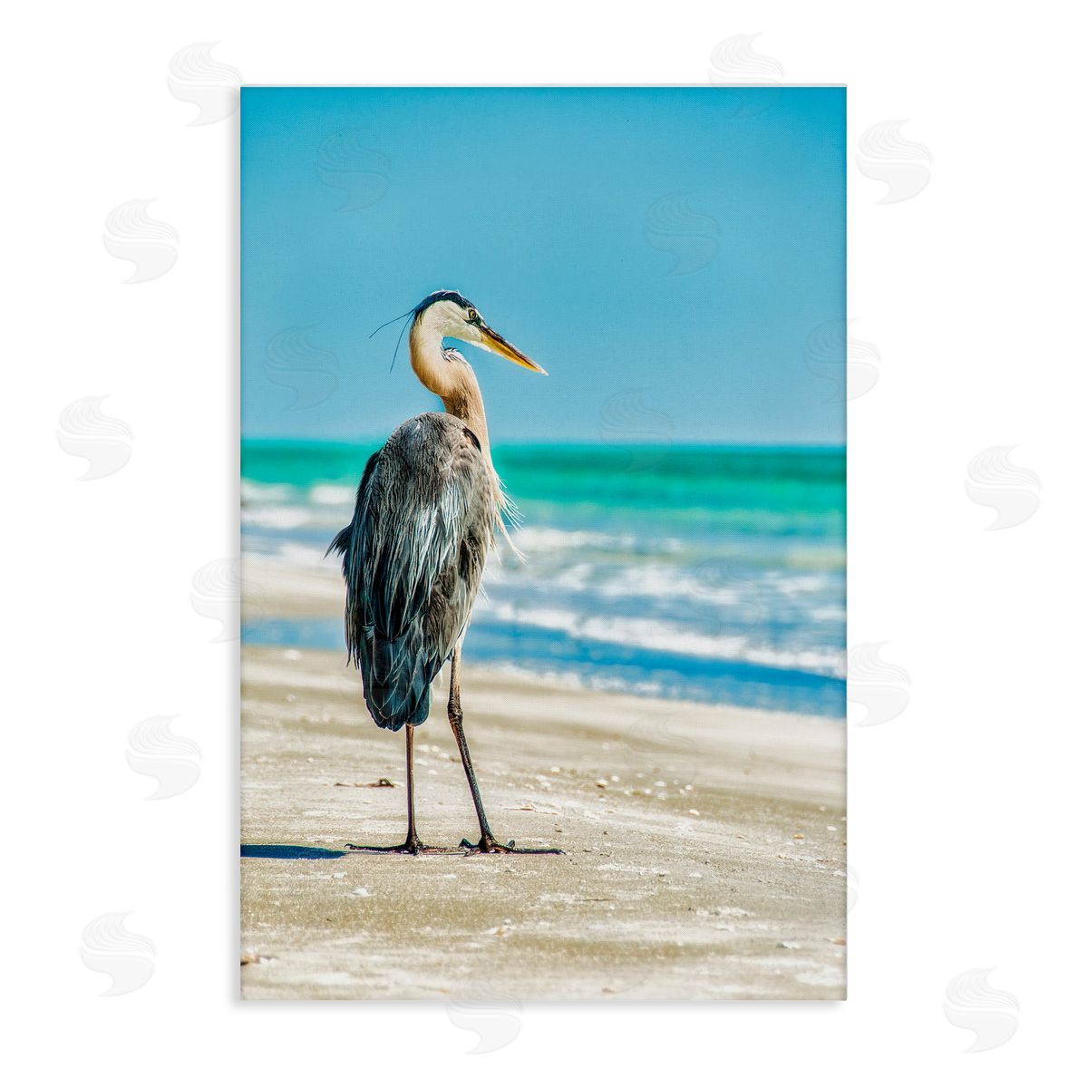 Mary Lou Johnson Reflective Beach Bird Canvas Wall Art Print