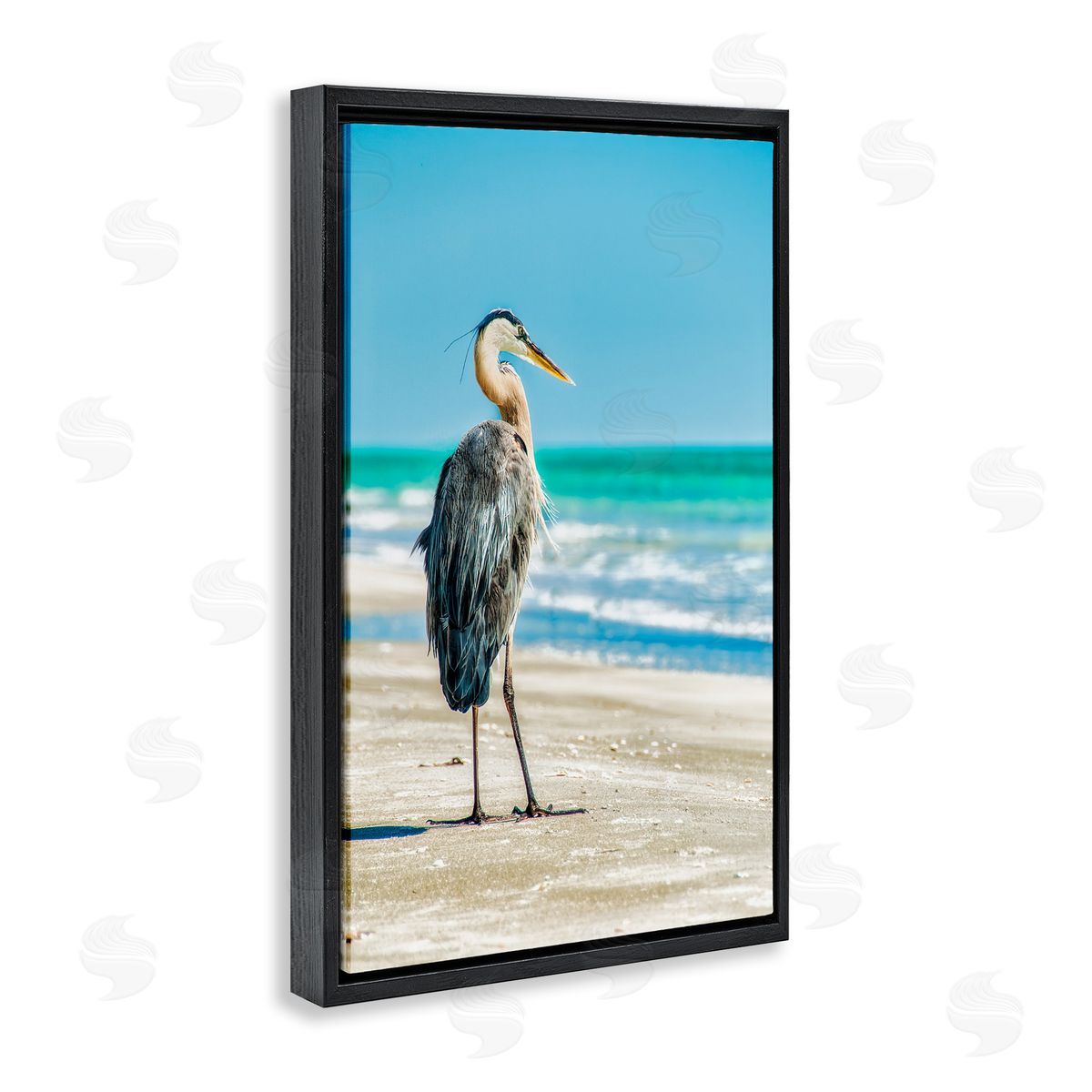 Mary Lou Johnson Reflective Beach Bird Black Floating Frame Canvas Wall Art Print