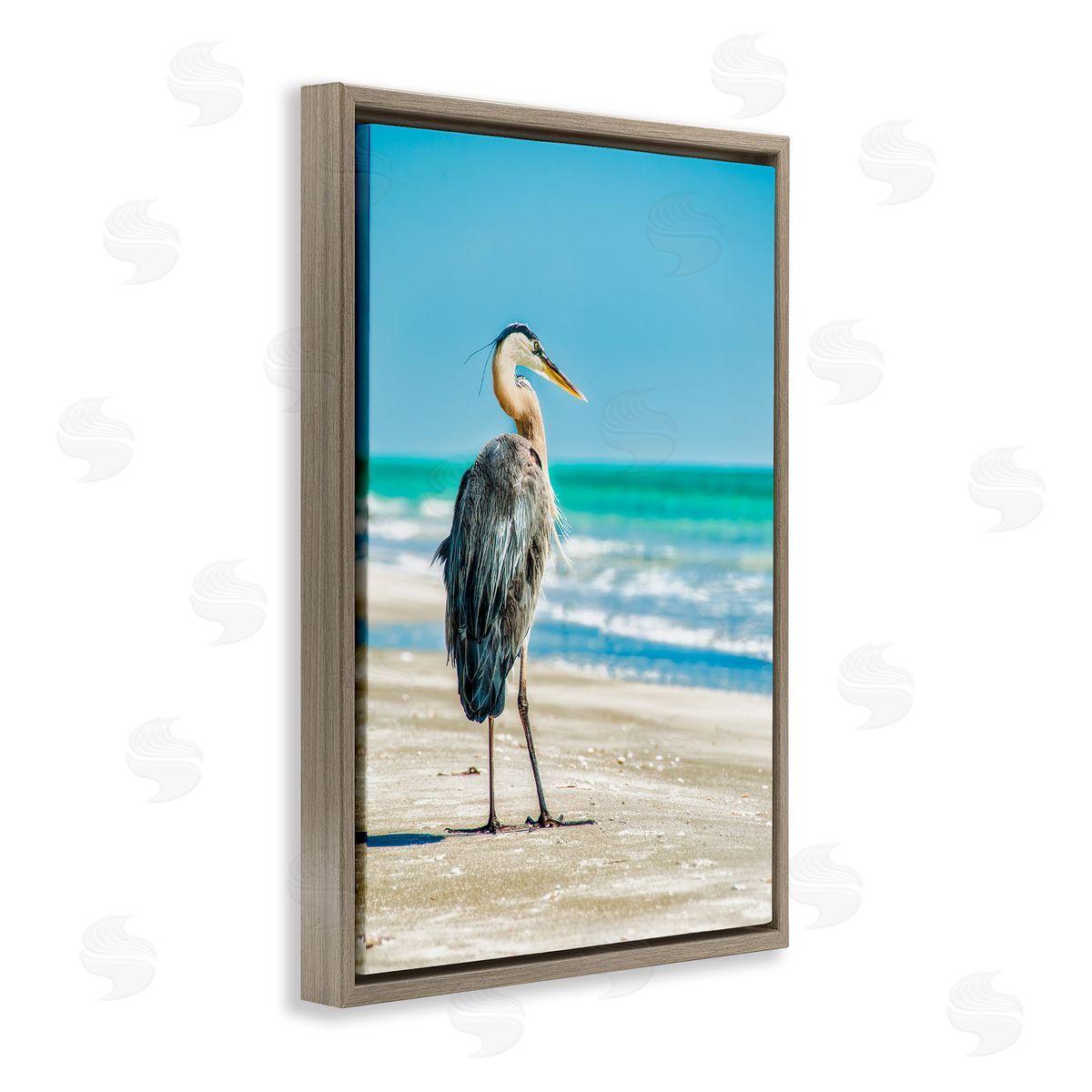 Mary Lou Johnson Reflective Beach Bird Brown Floating Frame Canvas Wall Art Print