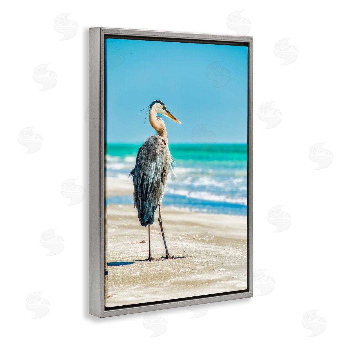 Mary Lou Johnson Reflective Beach Bird Gray Floating Frame Canvas Wall Art Print