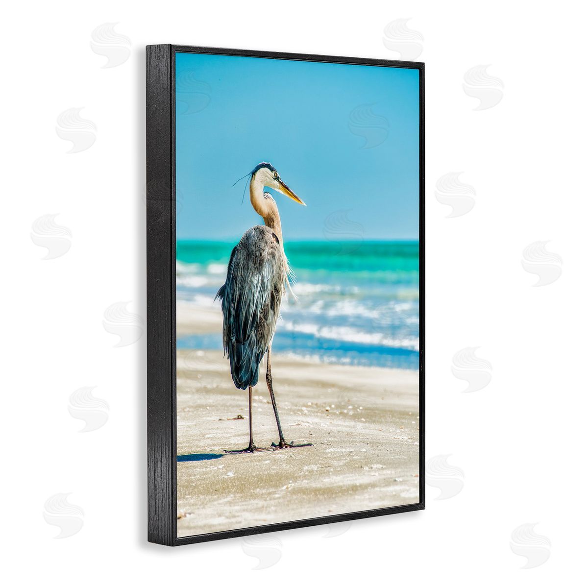 Mary Lou Johnson Reflective Beach Bird Black Framed Giclee Wall Art Print