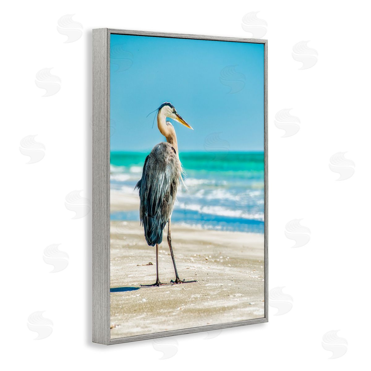 Mary Lou Johnson Reflective Beach Bird Gray Framed Giclee Wall Art Print