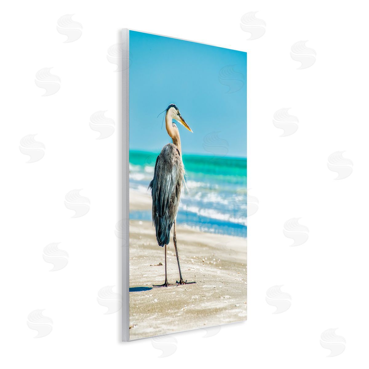 Mary Lou Johnson Reflective Beach Bird Wooden Wall Plaque Art Print