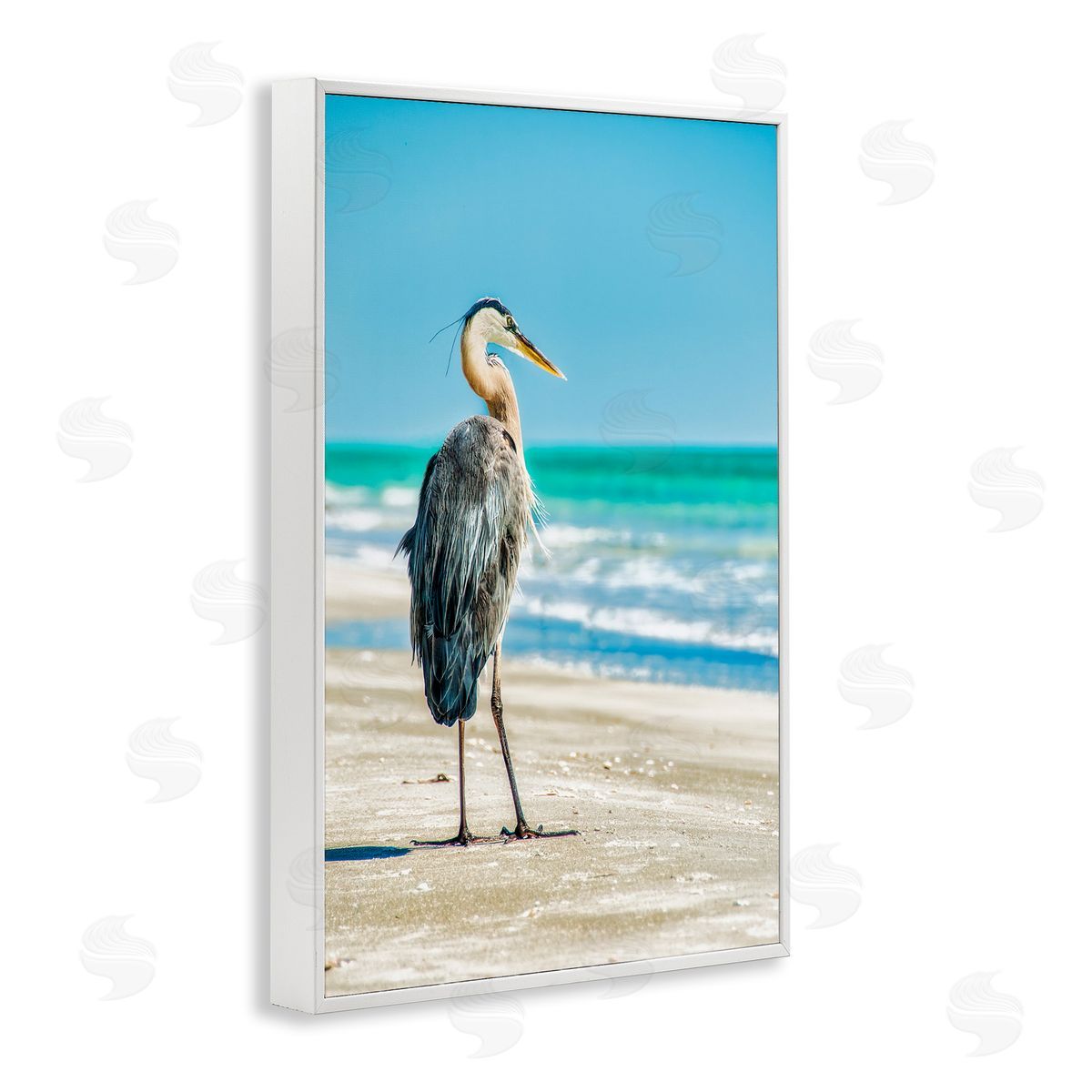 Mary Lou Johnson Reflective Beach Bird White Framed Giclee Wall Art Print