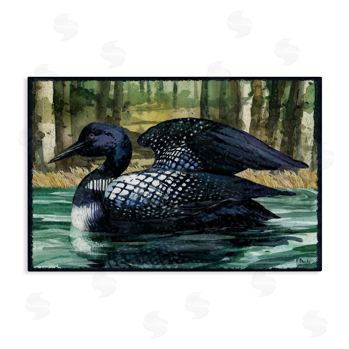 Paul Brent Swimming Woodland Loon Canvas Wall Art Print