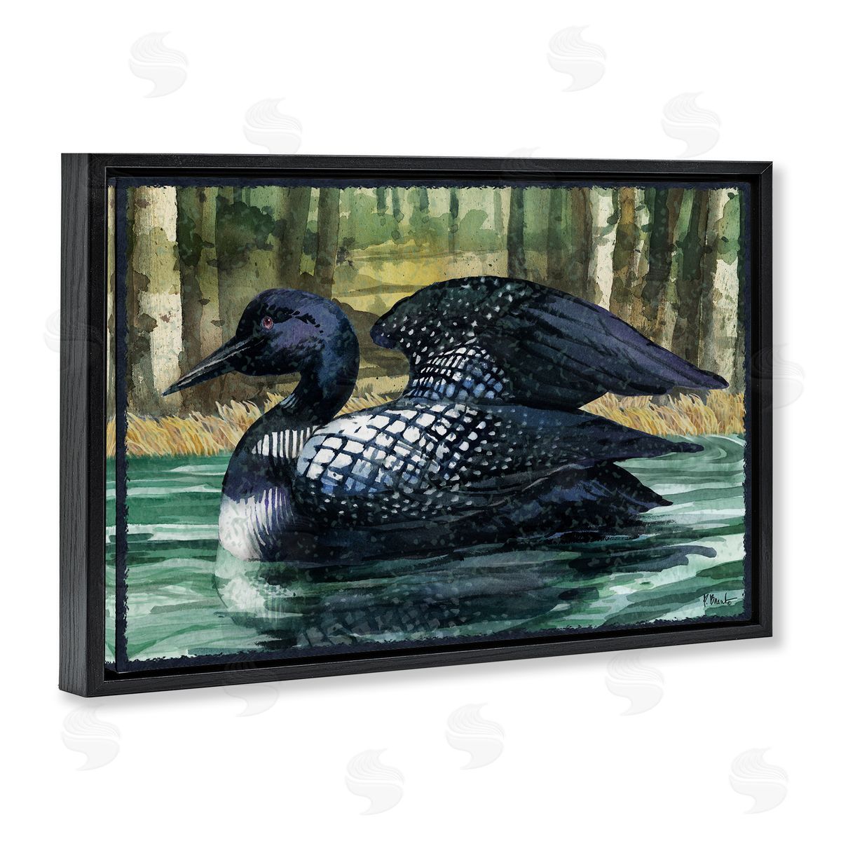 Paul Brent Swimming Woodland Loon Black Floating Frame Canvas Wall Art Print