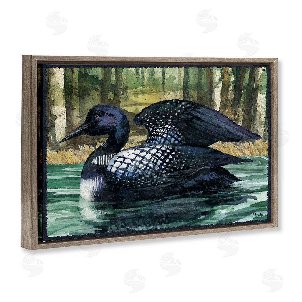 Paul Brent Swimming Woodland Loon Brown Floating Frame Canvas Wall Art Print
