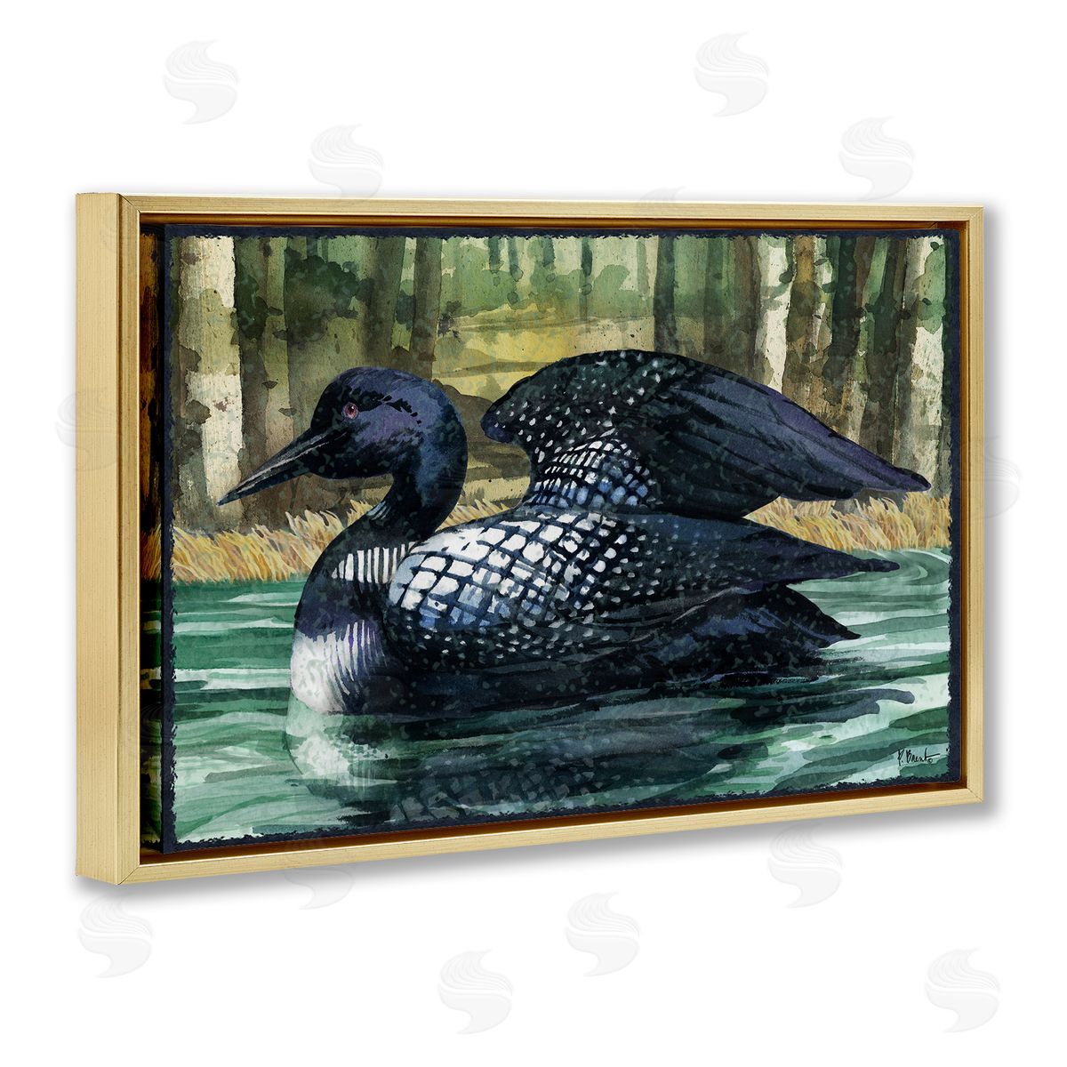 Paul Brent Swimming Woodland Loon Gold Floating Frame Canvas Wall Art Print