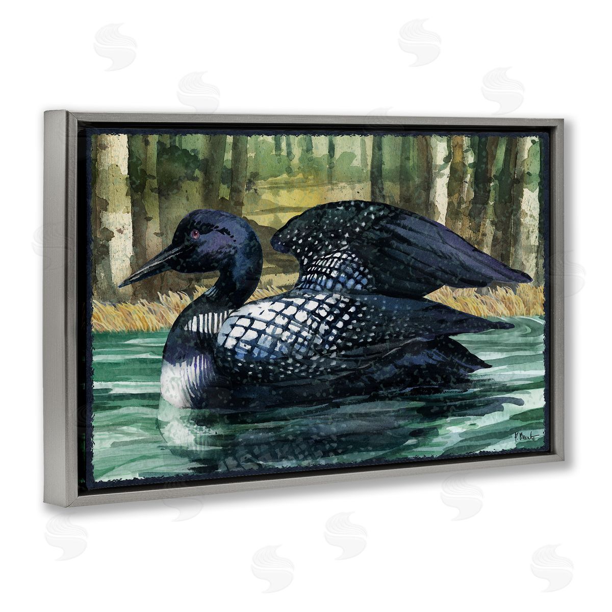 Paul Brent Swimming Woodland Loon Gray Floating Frame Canvas Wall Art Print
