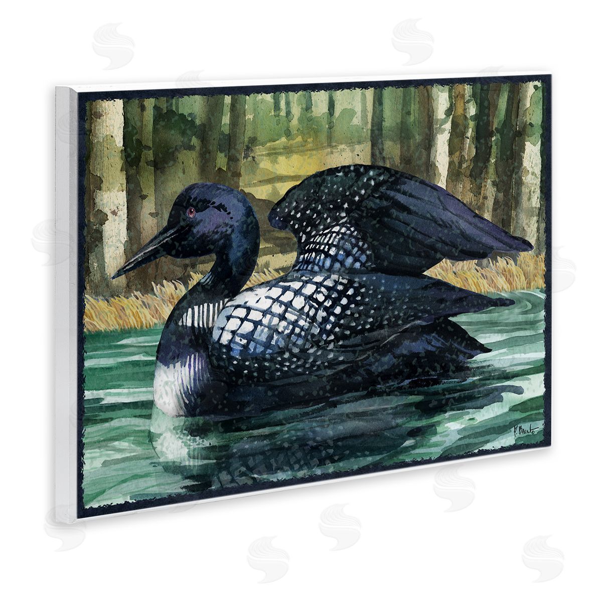 Paul Brent Swimming Woodland Loon Wooden Wall Plaque Art Print
