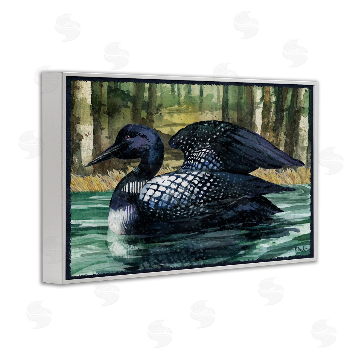 Paul Brent Swimming Woodland Loon White Framed Giclee Wall Art Print