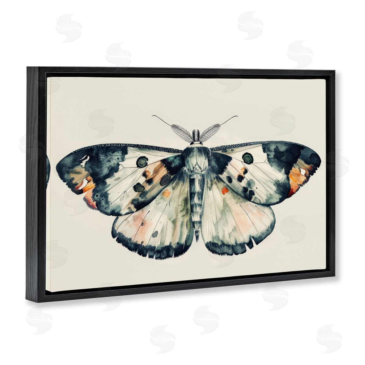Petal Prints Design Watercolor Black Trimmed Moth Black Floating Frame Canvas Wall Art Print