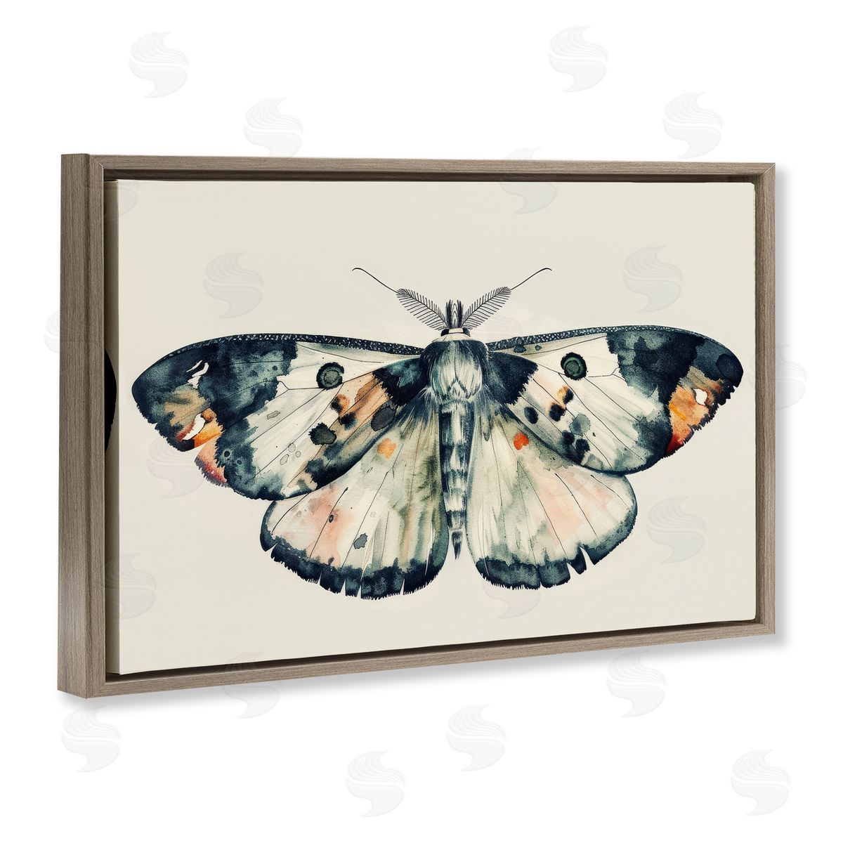 Petal Prints Design Watercolor Black Trimmed Moth Brown Floating Frame Canvas Wall Art Print