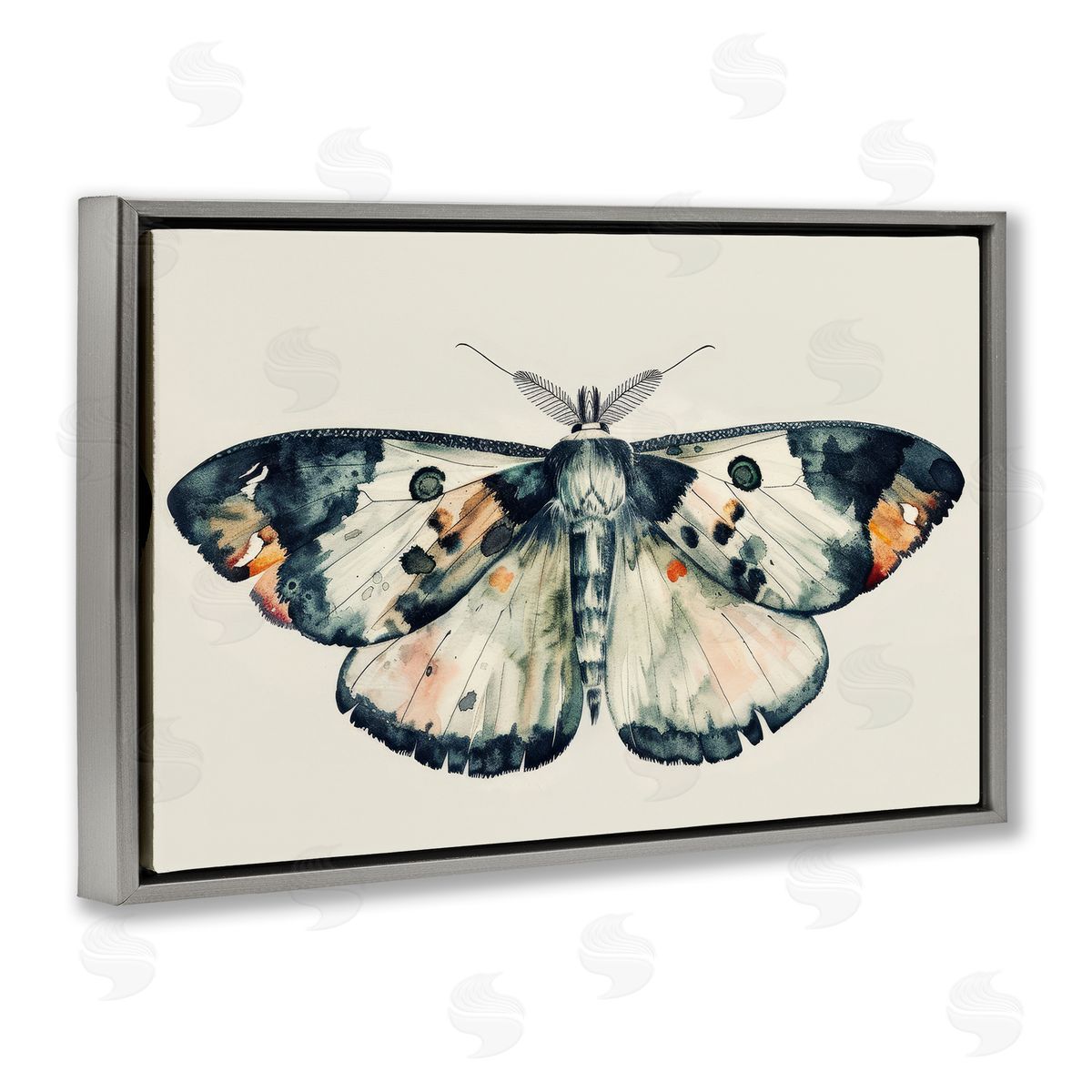 Petal Prints Design Watercolor Black Trimmed Moth Gray Floating Frame Canvas Wall Art Print