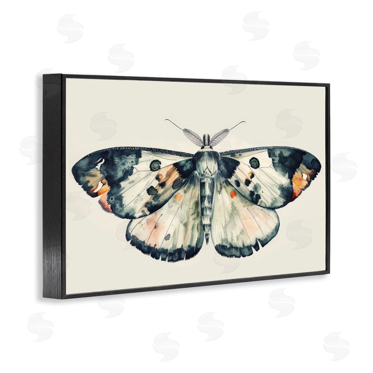 Petal Prints Design Watercolor Black Trimmed Moth Black Framed Giclee Wall Art Print