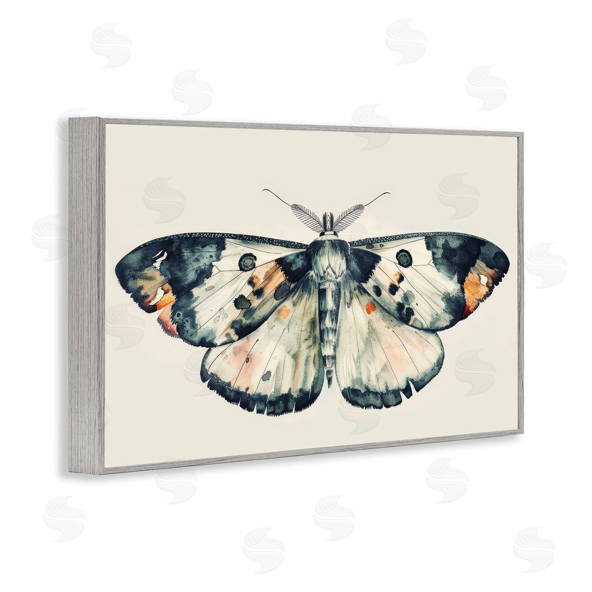 Petal Prints Design Watercolor Black Trimmed Moth Gray Framed Giclee Wall Art Print