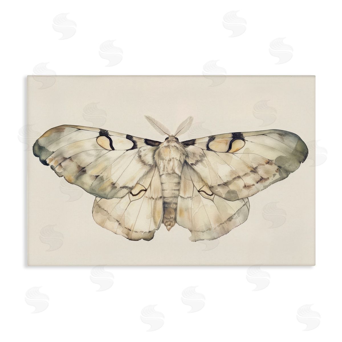 Petal Prints Design Dusty Beige Moth Canvas Wall Art Print