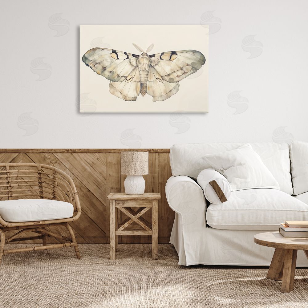 Petal Prints Design Dusty Beige Moth Canvas Wall Art Print in Room