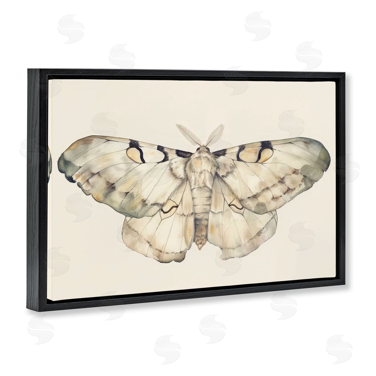 Petal Prints Design Dusty Beige Moth Black Floating Frame Canvas Wall Art Print