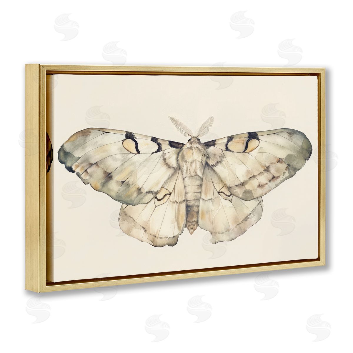 Petal Prints Design Dusty Beige Moth Gold Floating Frame Canvas Wall Art Print
