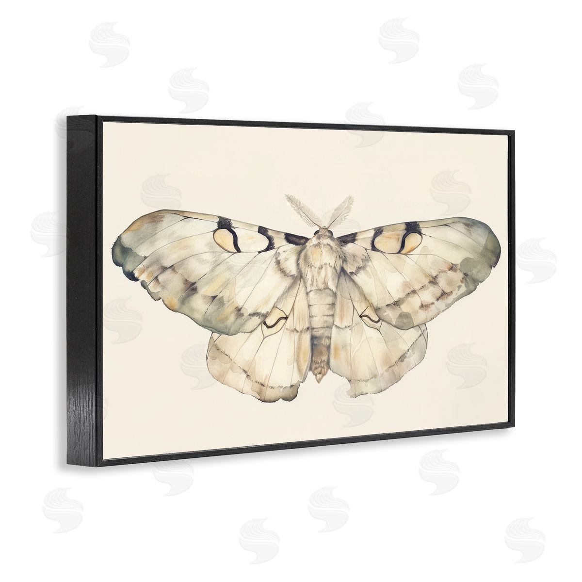 Petal Prints Design Dusty Beige Moth Black Framed Giclee Wall Art Print