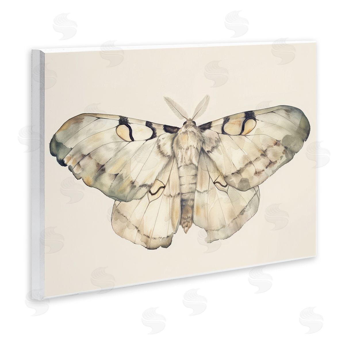 Petal Prints Design Dusty Beige Moth Wooden Wall Plaque Art Print