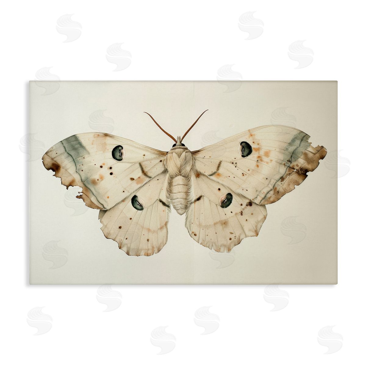 Petal Prints Design Vintage Beige Moth Canvas Wall Art Print