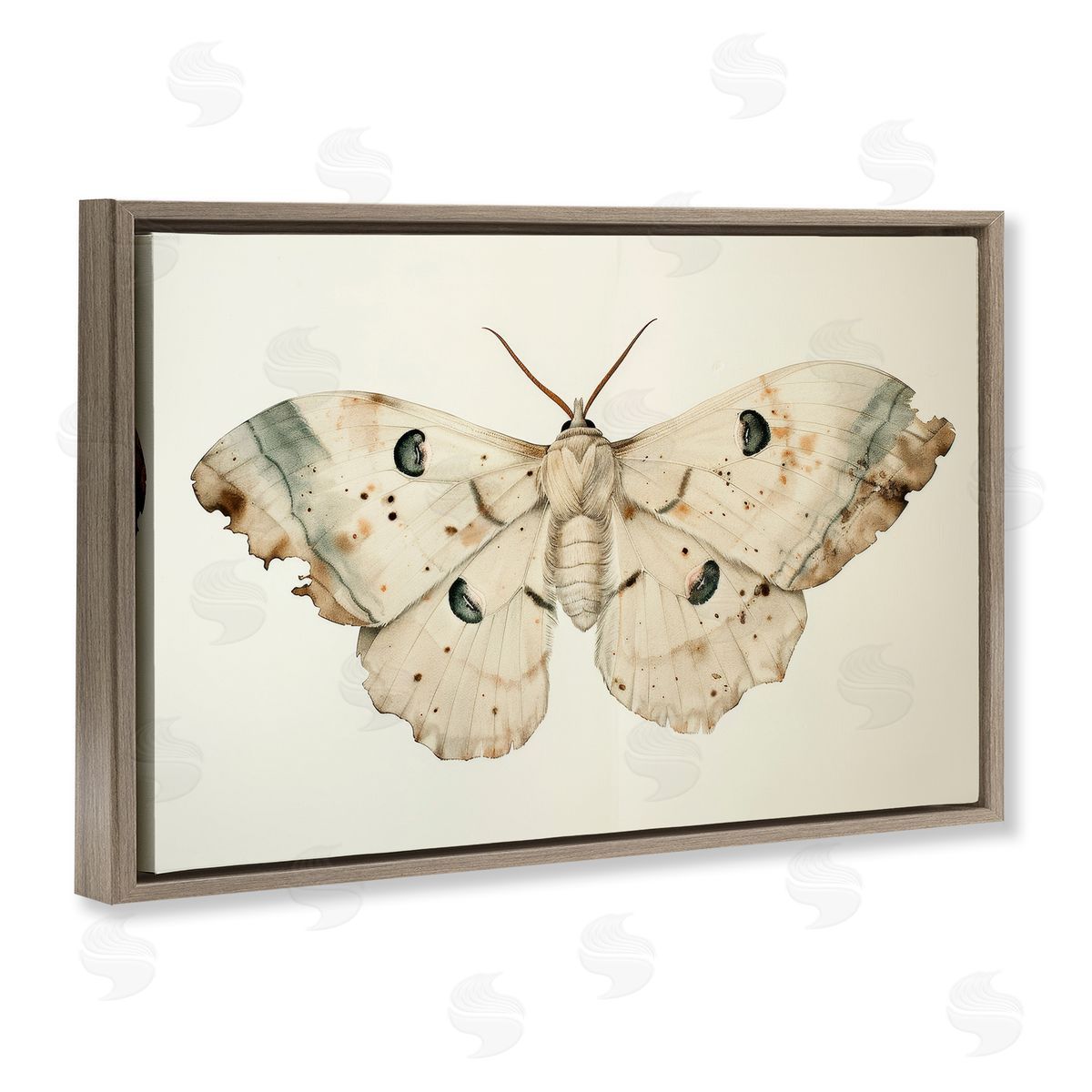 Petal Prints Design Vintage Beige Moth Brown Floating Frame Canvas Wall Art Print