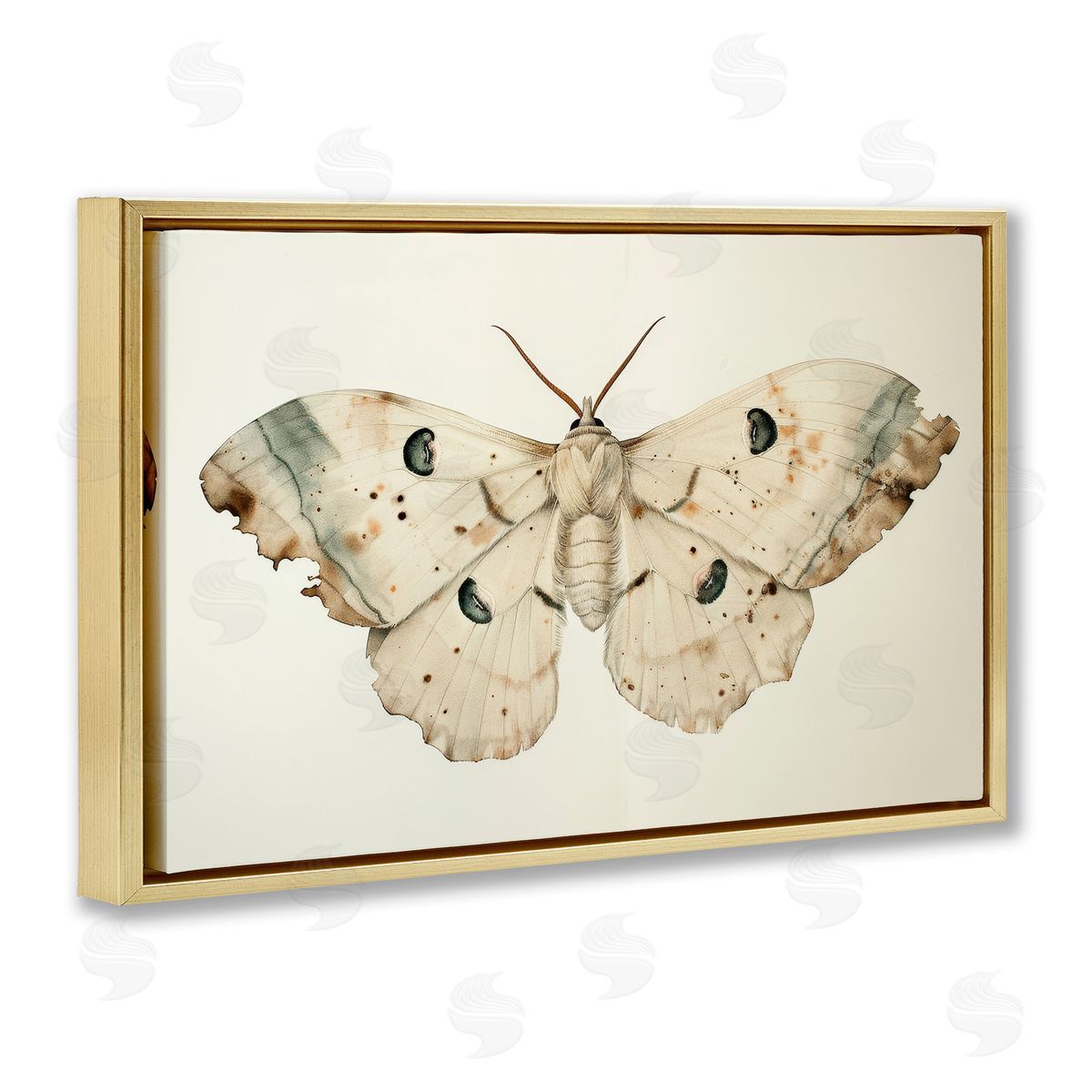 Petal Prints Design Vintage Beige Moth Gold Floating Frame Canvas Wall Art Print