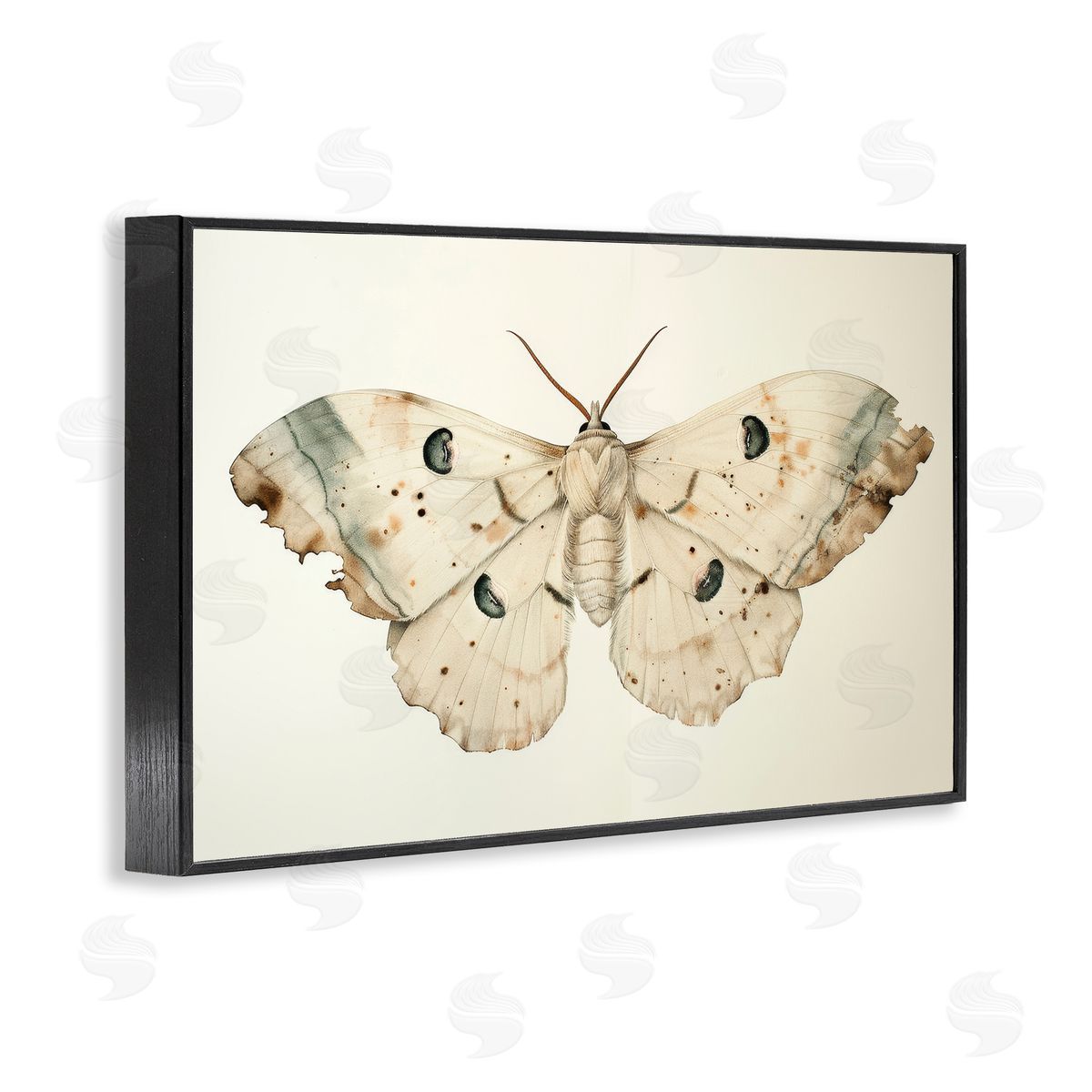 Petal Prints Design Vintage Beige Moth Black Framed Giclee Wall Art Print