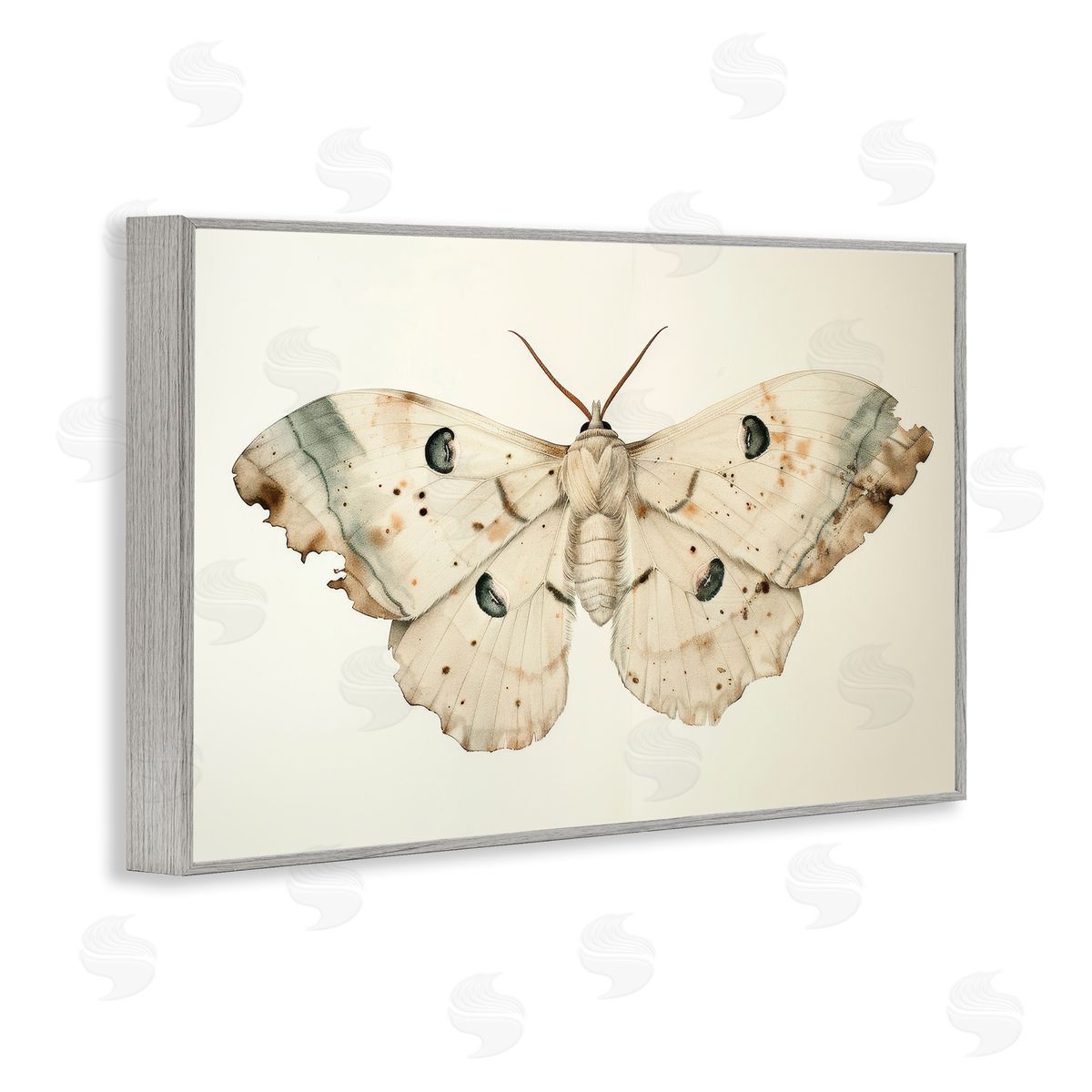 Petal Prints Design Vintage Beige Moth Gray Framed Giclee Wall Art Print