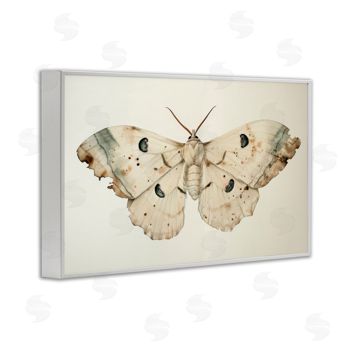 Petal Prints Design Vintage Beige Moth White Framed Giclee Wall Art Print