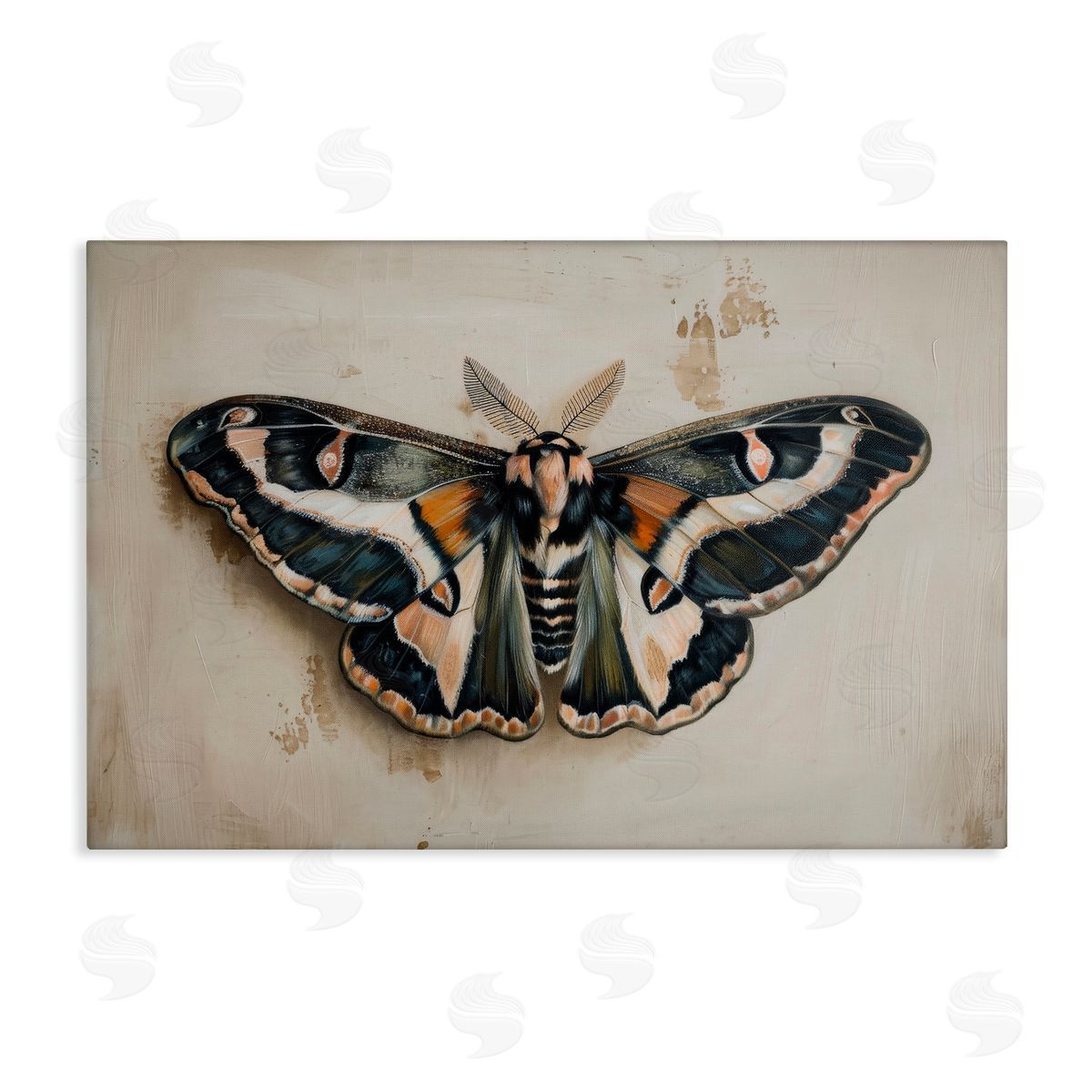 Petal Prints Design Dark Winged Moth Canvas Wall Art Print