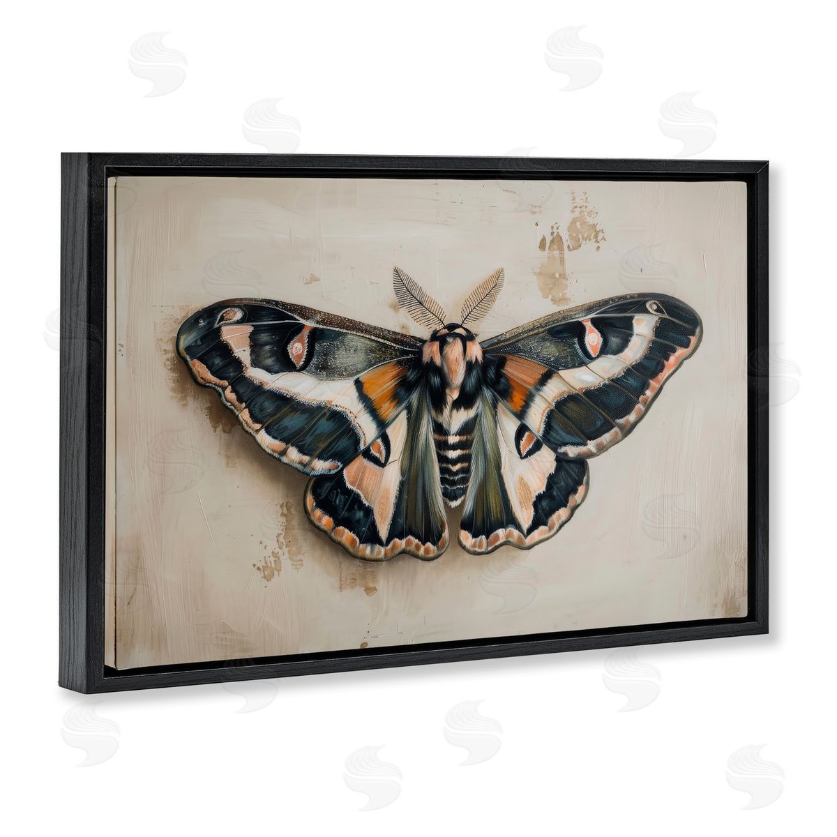 Petal Prints Design Dark Winged Moth Black Floating Frame Canvas Wall Art Print