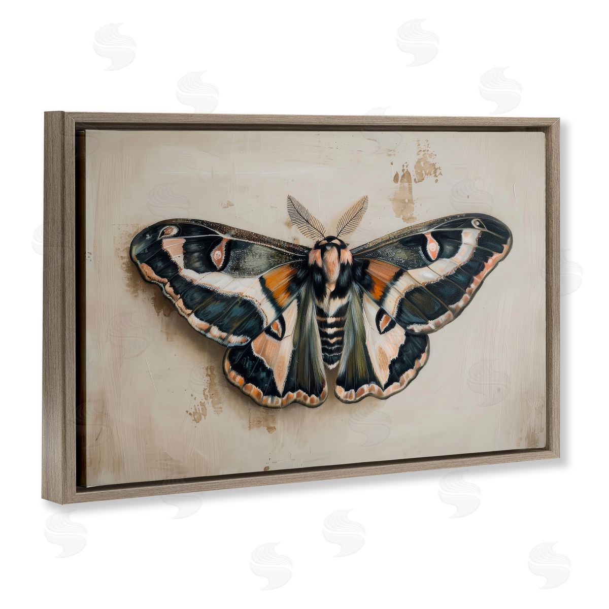 Petal Prints Design Dark Winged Moth Brown Floating Frame Canvas Wall Art Print