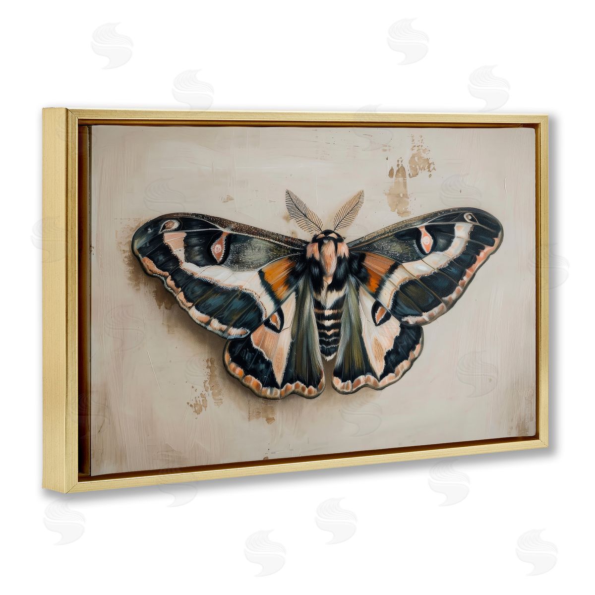 Petal Prints Design Dark Winged Moth Gold Floating Frame Canvas Wall Art Print