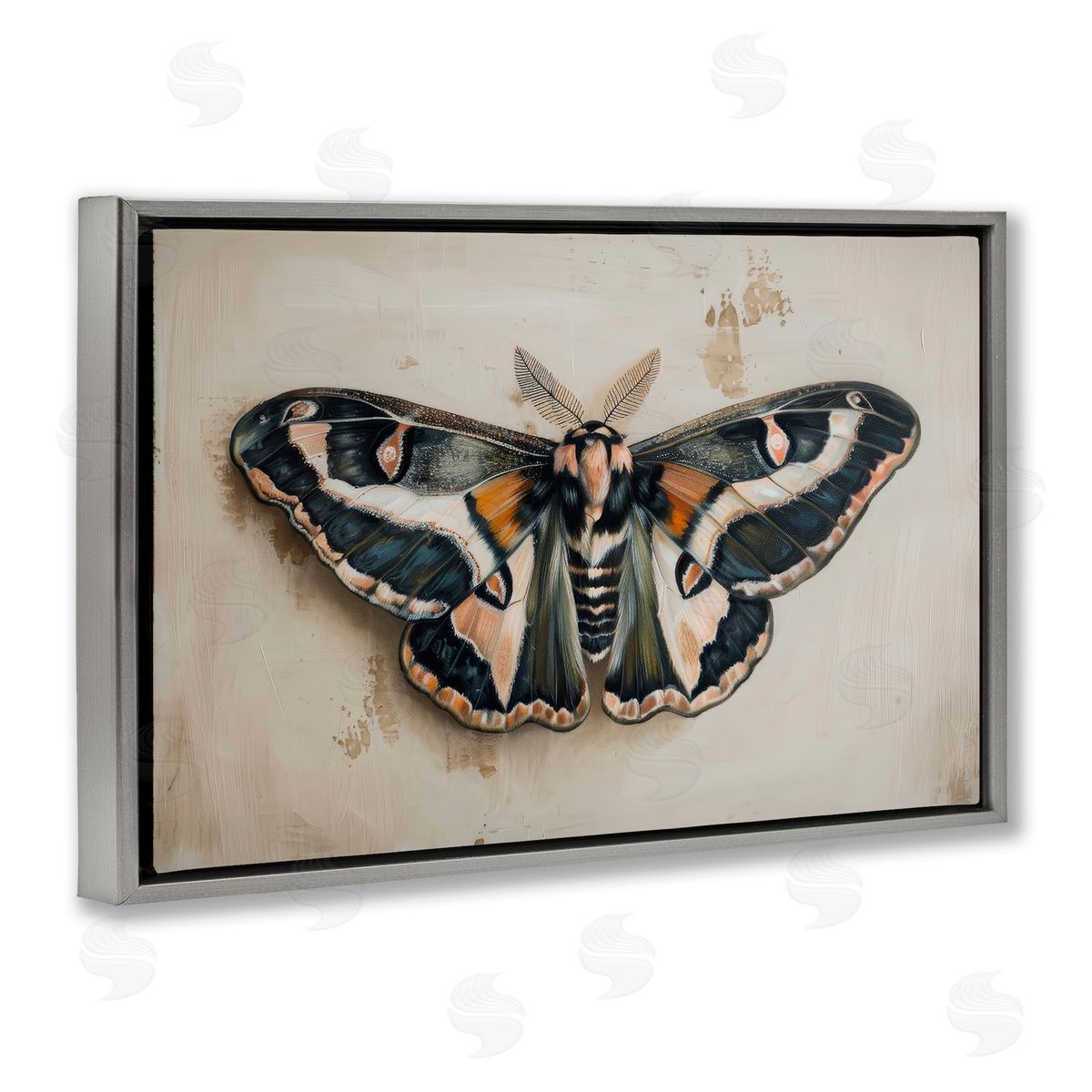 Petal Prints Design Dark Winged Moth Gray Floating Frame Canvas Wall Art Print