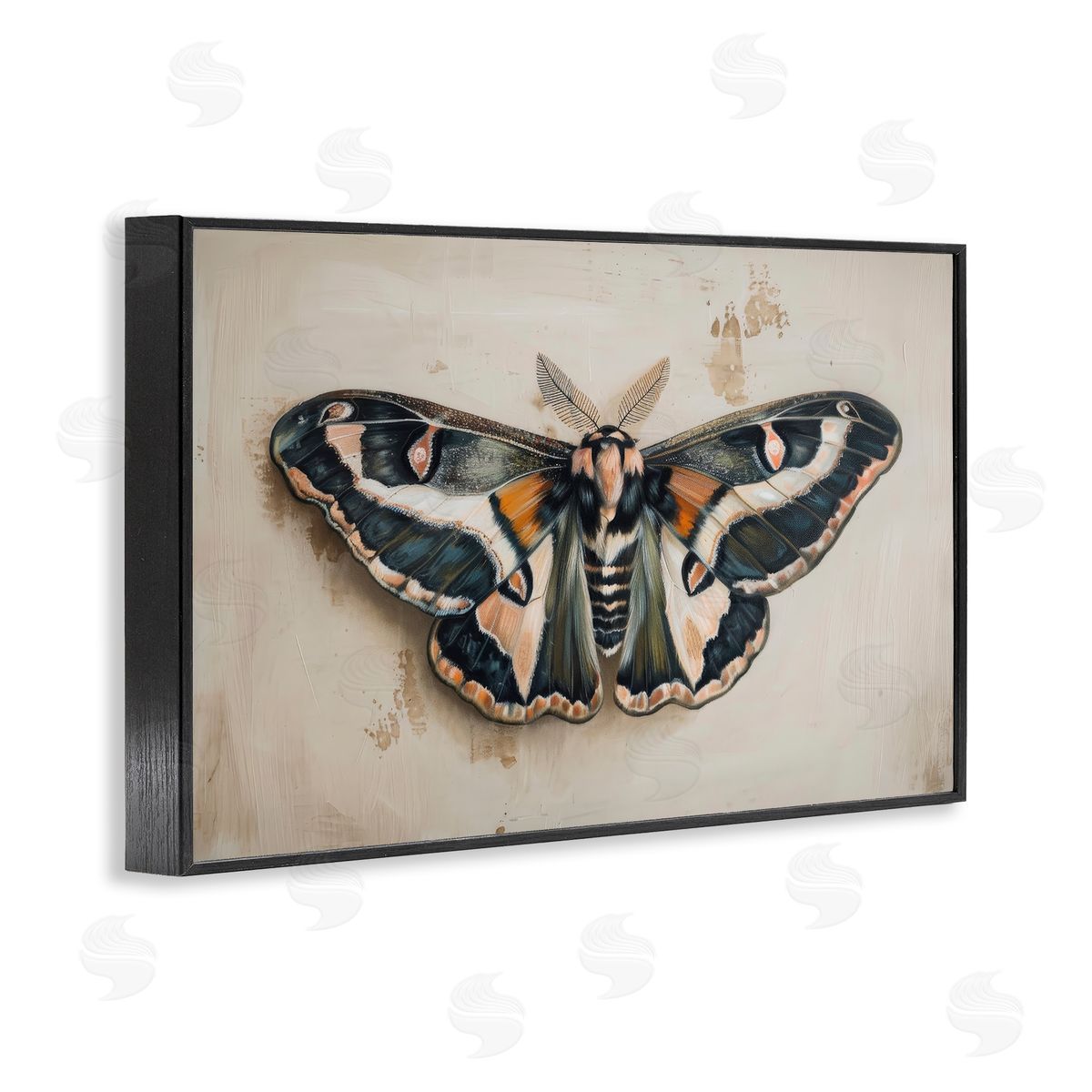 Petal Prints Design Dark Winged Moth Black Framed Giclee Wall Art Print