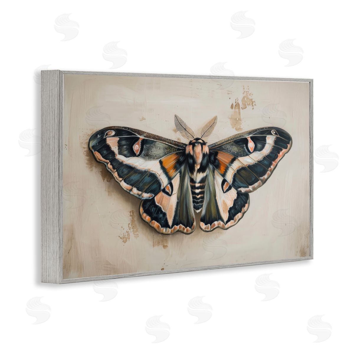 Petal Prints Design Dark Winged Moth Gray Framed Giclee Wall Art Print