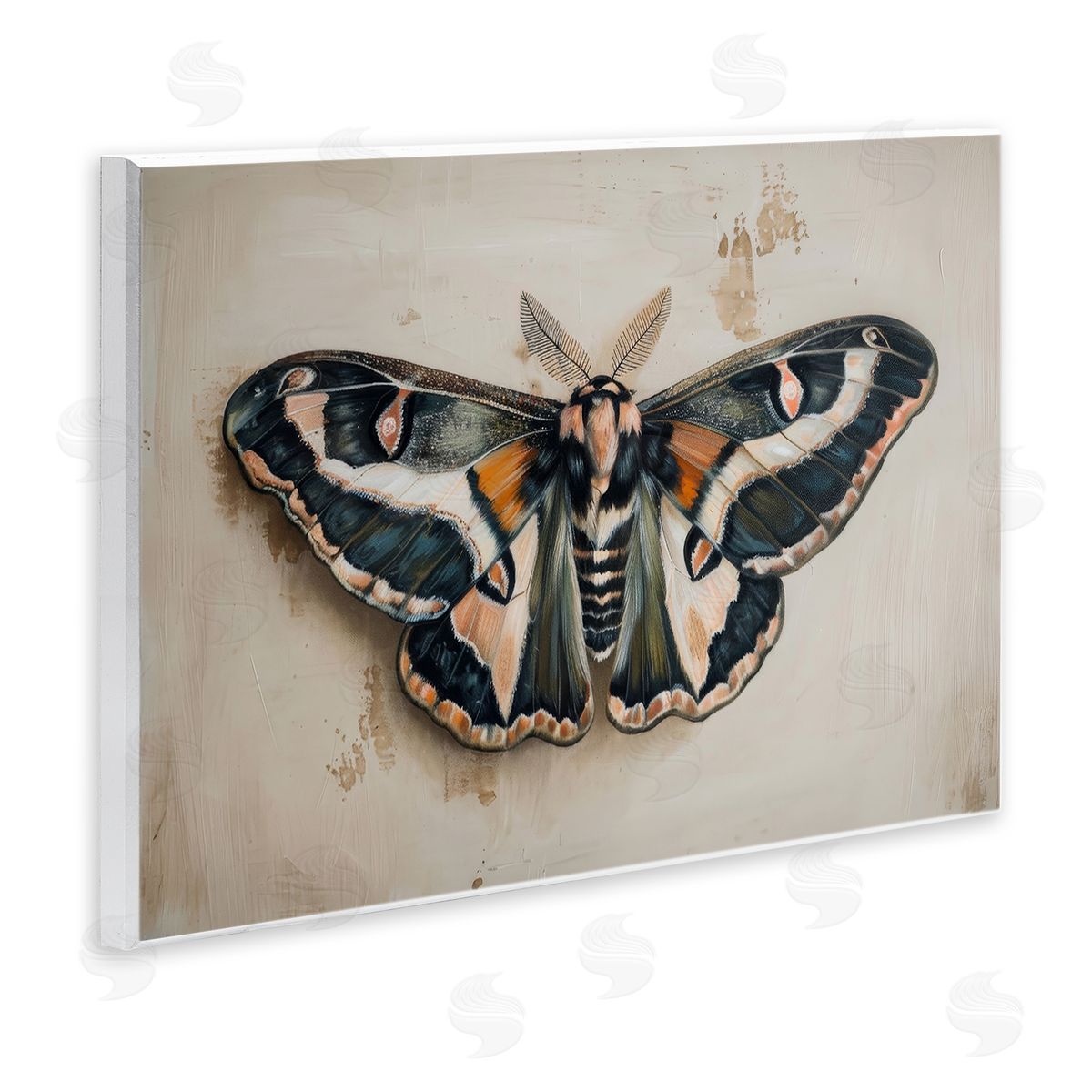 Petal Prints Design Dark Winged Moth Wooden Wall Plaque Art Print