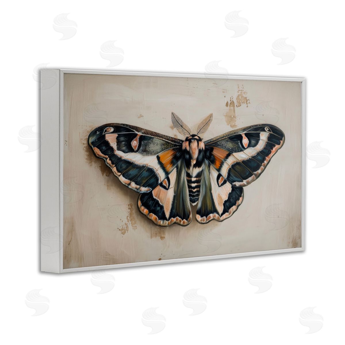 Petal Prints Design Dark Winged Moth White Framed Giclee Wall Art Print