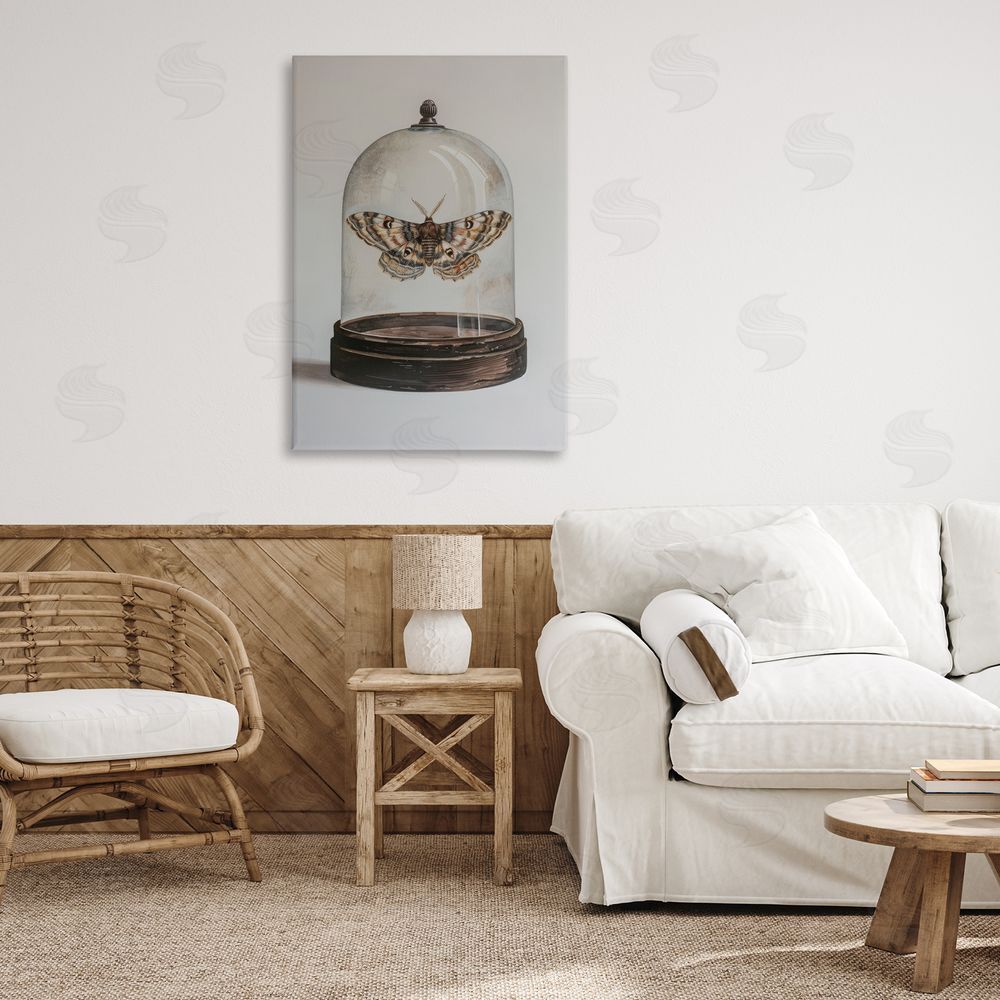 Petal Prints Design Moth in Glass Cloche Canvas Wall Art Print in Room