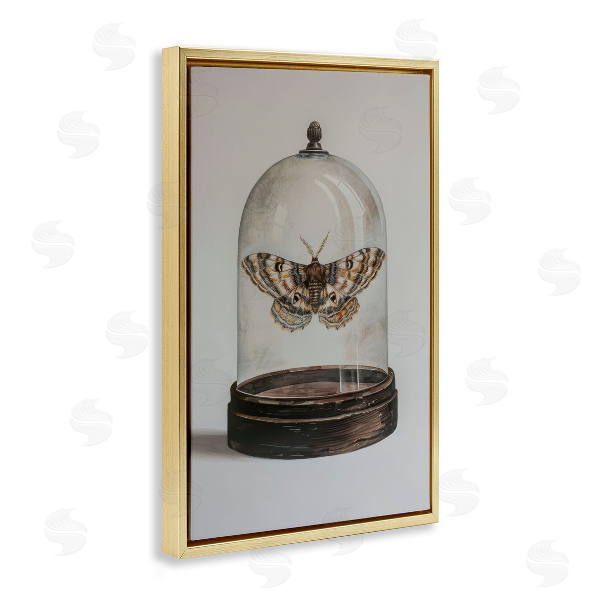 Petal Prints Design Moth in Glass Cloche Gold Floating Frame Canvas Wall Art Print
