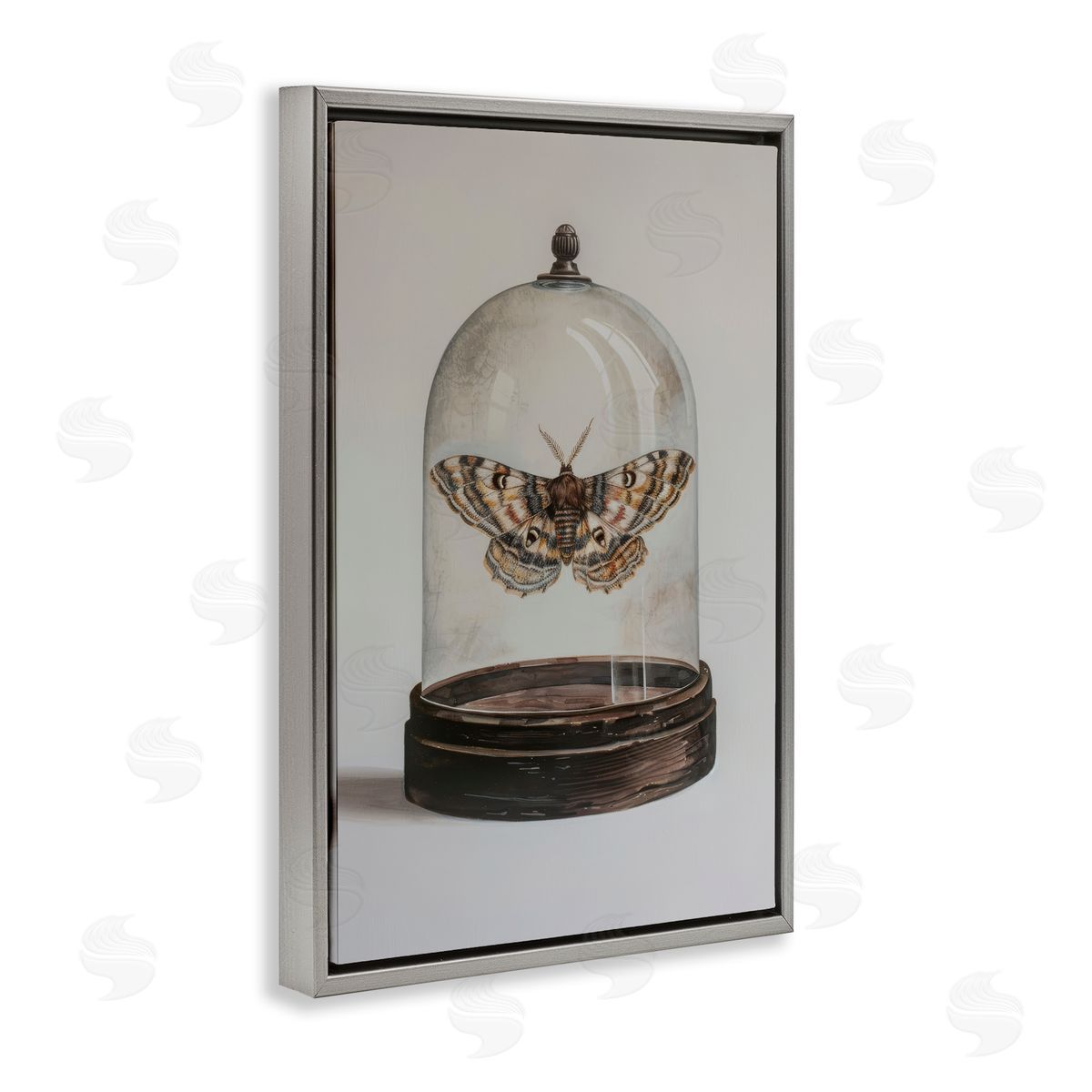Petal Prints Design Moth in Glass Cloche Gray Floating Frame Canvas Wall Art Print