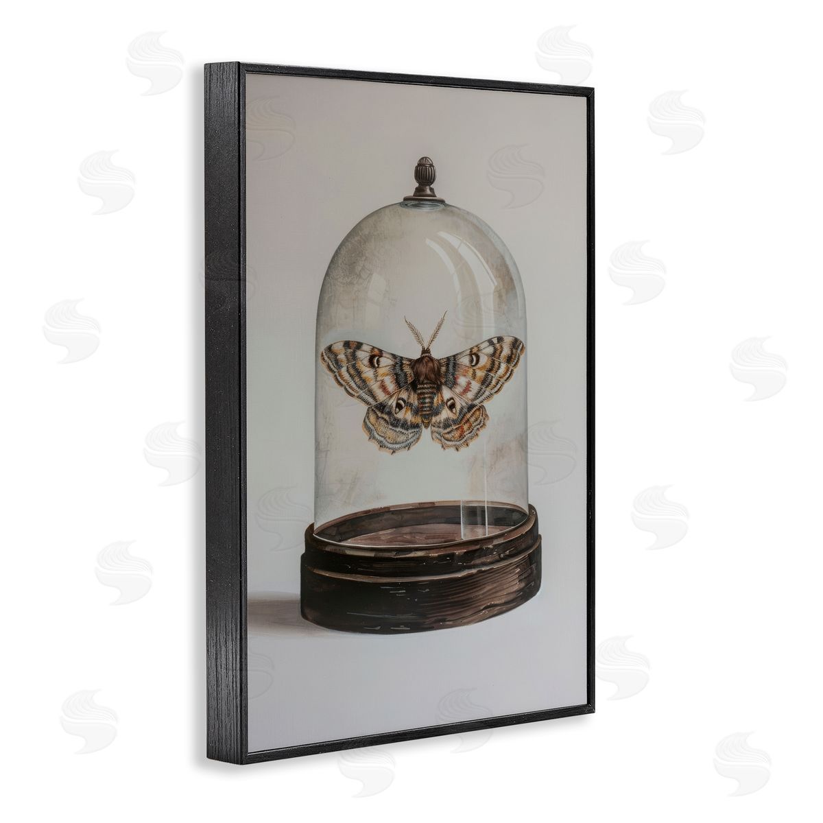 Petal Prints Design Moth in Glass Cloche Black Framed Giclee Wall Art Print