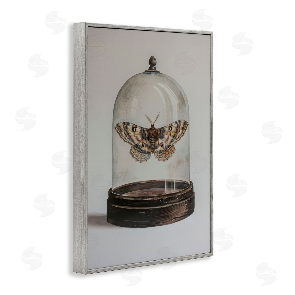 Petal Prints Design Moth in Glass Cloche Gray Framed Giclee Wall Art Print