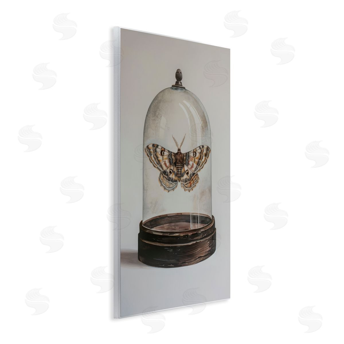 Petal Prints Design Moth in Glass Cloche Wooden Wall Plaque Art Print